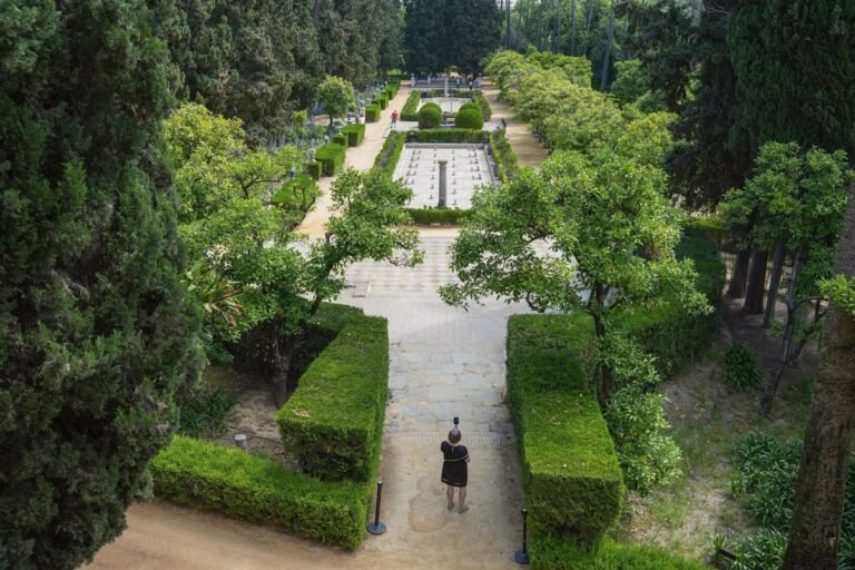 El-Real-Alcazar-de-Sevilla-inicia-plan-de-reforestacion-para.jpg