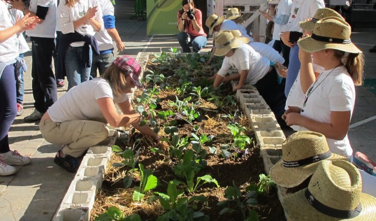 Escolares y docentes en uno de los huertos escolares del