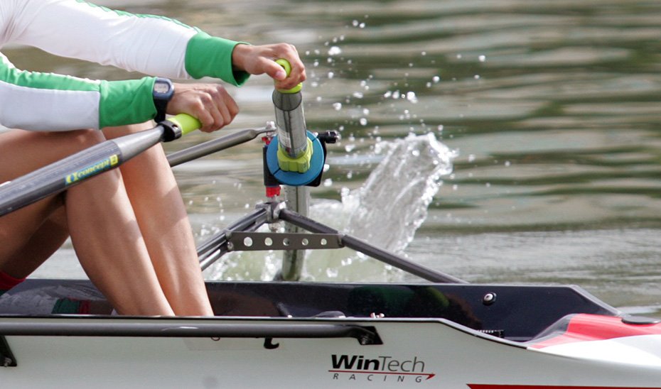 Deportistas practica remo en el Guadalquivir durante un entrenamiento.