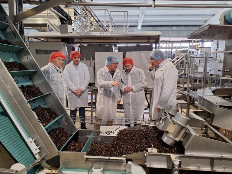 El-Gobierno-subvenciona-proyectos-de-empresas-sevillanas-para-crear-empleo.jpg