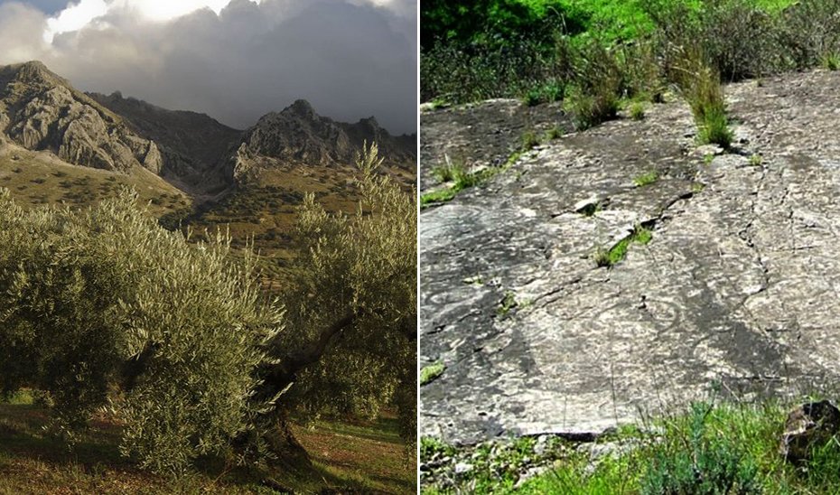 El Geoparque de las Sierras Subbéticas y el Monumento Huellas Fósiles de Medusas.
