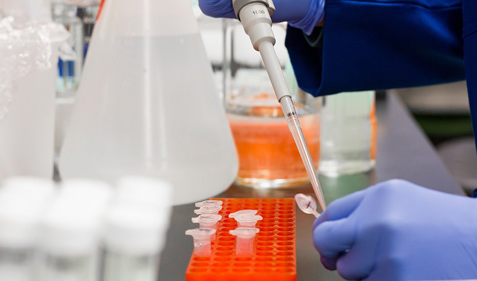 Labores de investigación en un laboratorio de la red del sistema sanitario público andaluz.