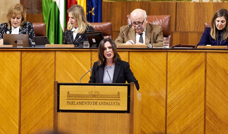 La consejera de Fomento, Rocío Díaz, se dirige a los diputados andaluces desde la tribuna del salón de plenos del Parlamento de Andalucía.