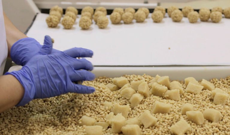 Industria manufacturera en el sector de la alimentación.