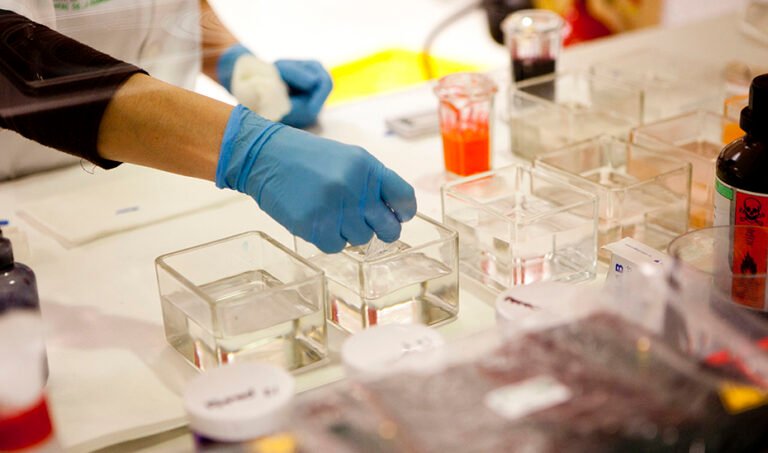 Una investigadora supervisa un trabajo en el laboratorio.