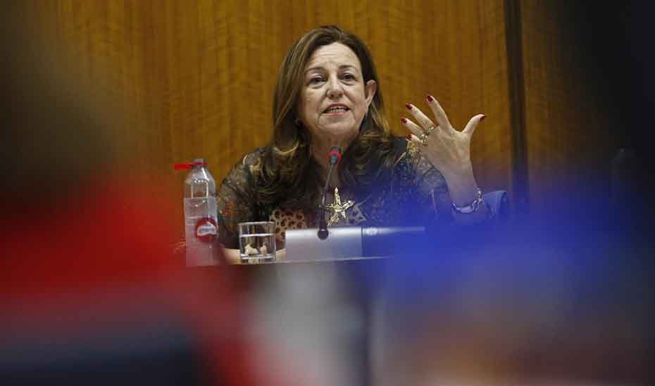 La consejera de Desarrollo Educativo, María del Carmen Castillo, comparece en comisión parlamentaria.