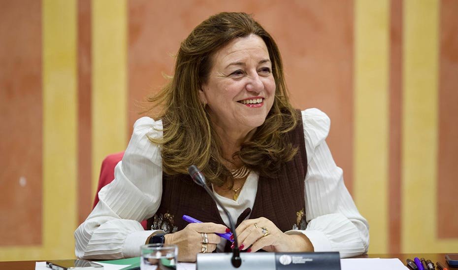 La consejera de Desarrollo Educativo, María del Carmen Castillo, durante su comparecencia parlamentaria.