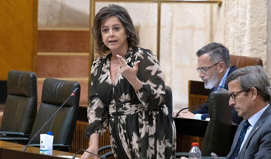 La consejera de Sostenibilidad, Catalina García, en un momento de su comparecencia en la sesión plenaria.