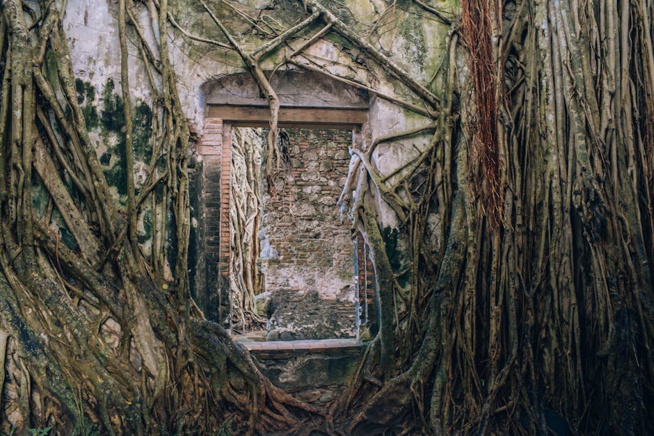 Antigua Judería