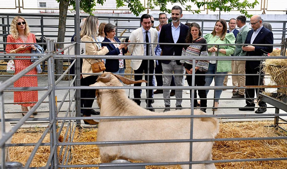 El consejero de Agricultura ha inaugurado la Feria ganadera de La Carolina (Jaén).