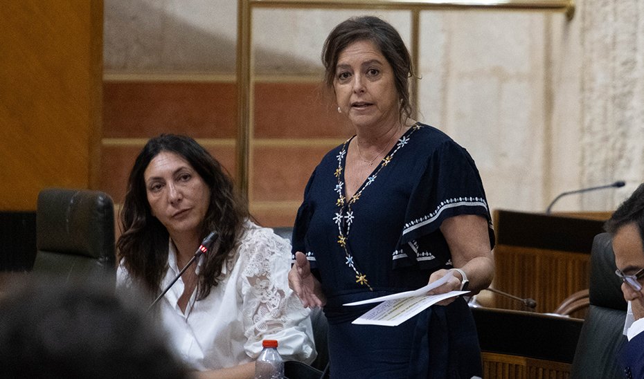 La consejera de Sostenibilidad y Medio Ambiente interviene en el Pleno.