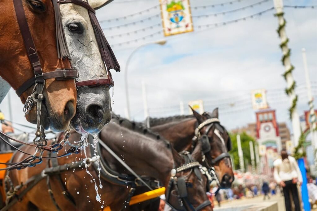Tres-detenidos-y-dos-heridos-en-reyertas-durante-la-feria.jpg