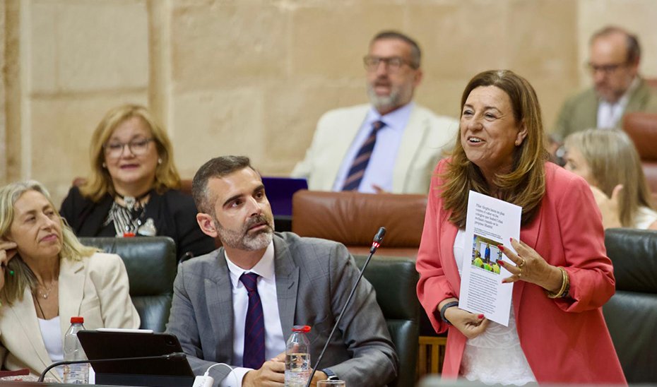 La consejera de Desarrollo Educativo, María del Carmen Castillo, comparece en el Pleno del Parlamento.