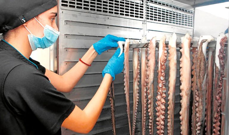 Proceso de eleboración del pulpo seco de Adra.