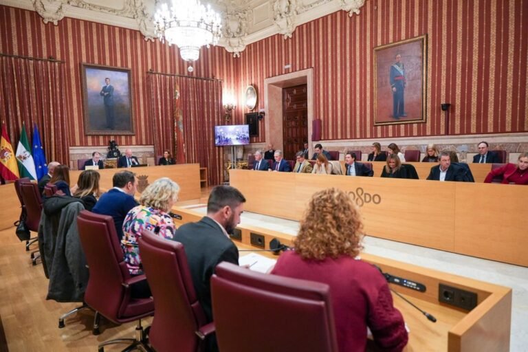 Aumento-de-la-flota-de-Tussam-Altadis-cumbre-de-la.jpg