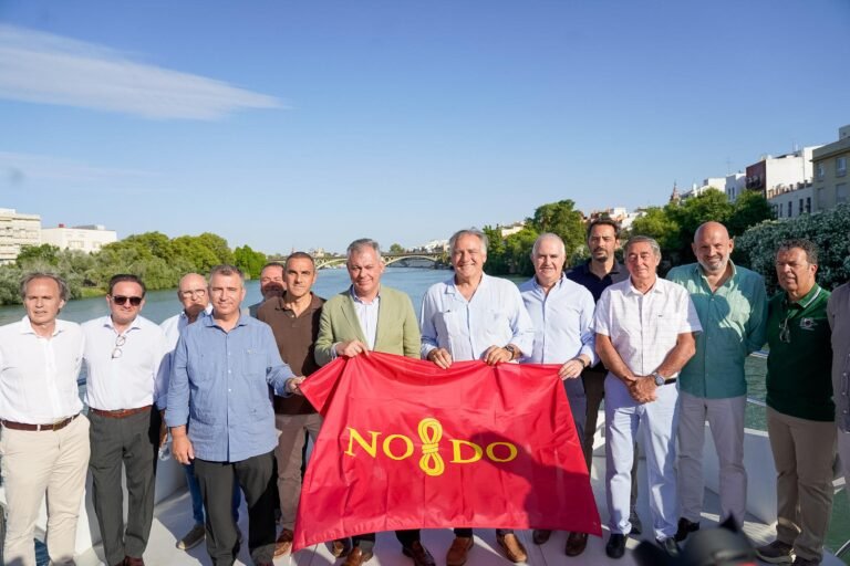 El-Gobierno-de-Sanz-trae-la-Copa-del-Mundo-de.jpeg