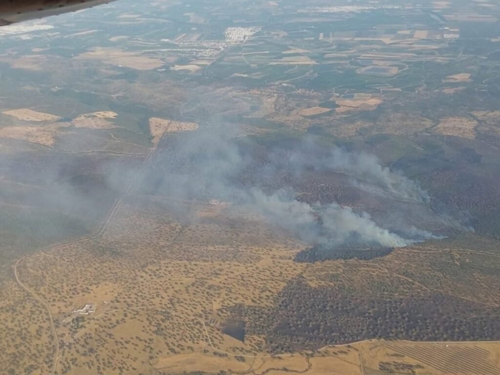 El-Plan-Infoca-despliega-seis-medios-aereos-para-combatir-incendio.jpg