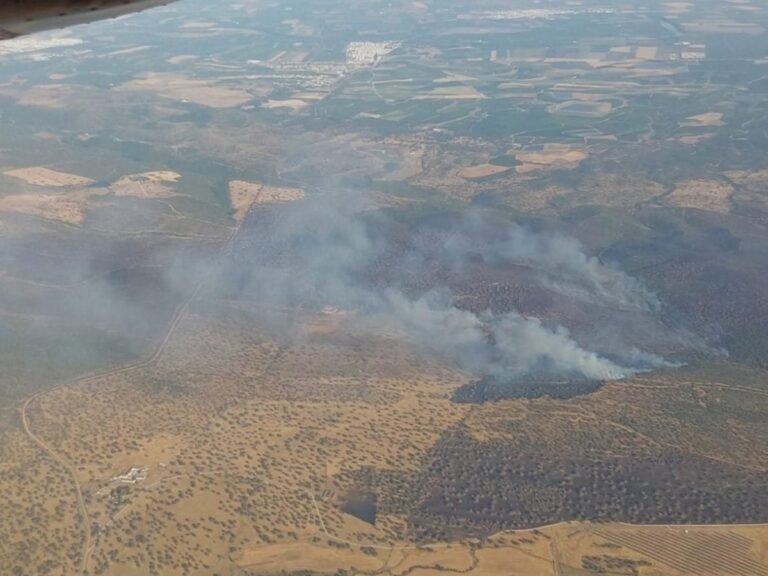 El-Plan-Infoca-despliega-seis-medios-aereos-para-combatir-incendio.jpg