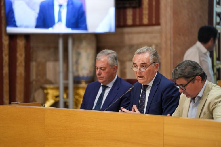 El-Pleno-aprueba-inyectar-10-millones-de-euros-a-Lipasam.JPG