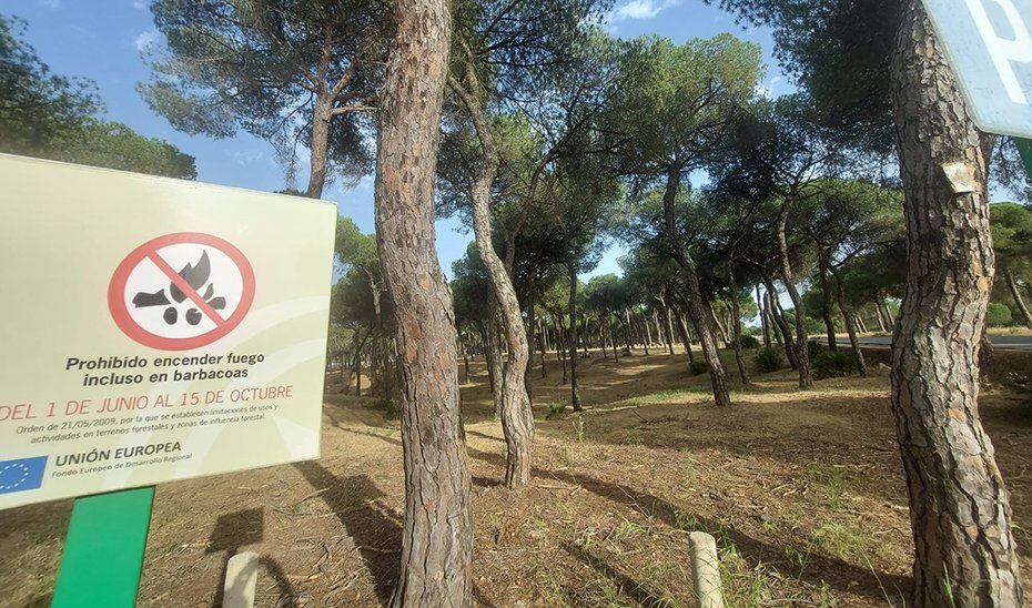 Prohibición de encender fuegos en terrenos forestales y zonas de influencia forestal.