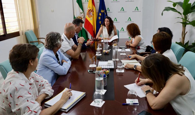 La consejera de Inclusión Social, durante la reunión mantenida en la sede de la consejería con los representantes de Cermi.