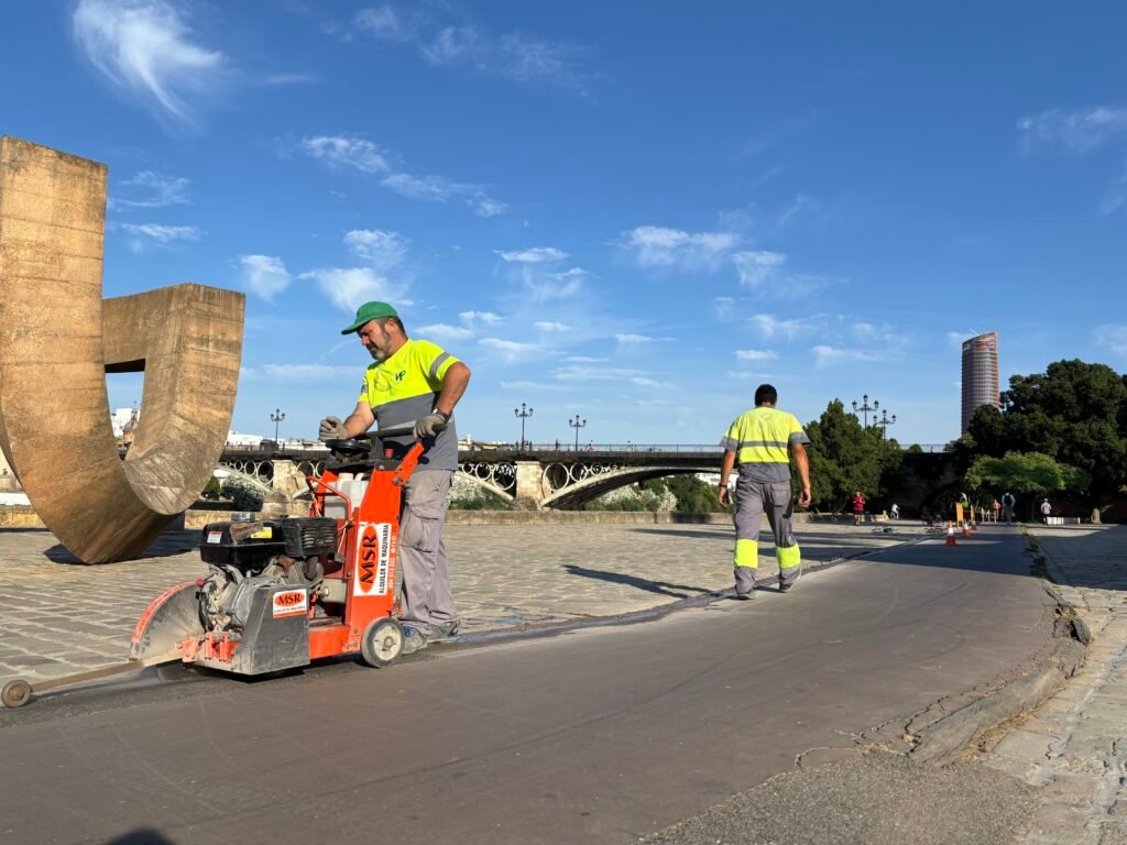 Reforma-del-carril-bici-del-Muelle-de-la-Sal.jpeg
