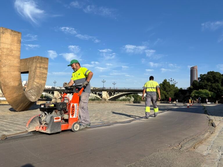 Reforma-del-carril-bici-del-Muelle-de-la-Sal.jpeg