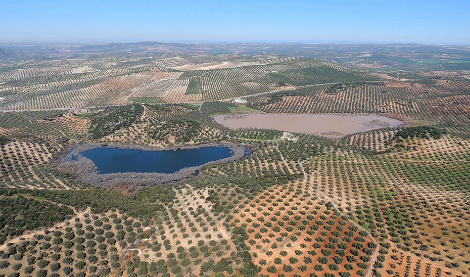 Renovacion-del-reconocimiento-internacional-de-las-lagunas-del-sur-de.jpg