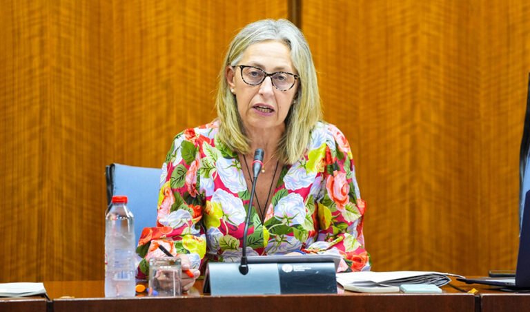 La consejera de Salud y Consumo, Rocío Hernández.