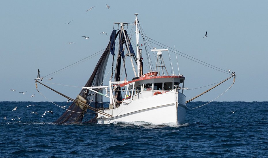 Embarcación de la flota de cerco del Golfo de Cádiz.