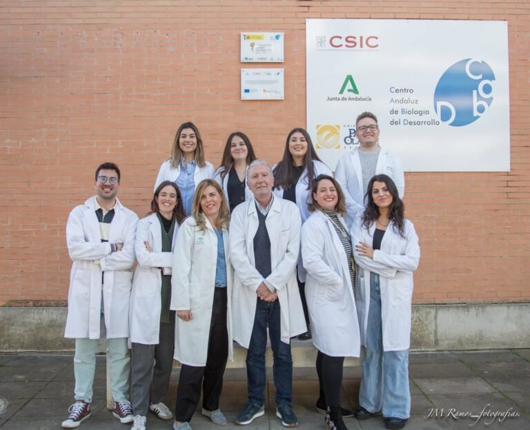 Activacion-de-respuesta-mitocondrial-clave-para-tratar-encefalopatia-etilmalonica.jpg