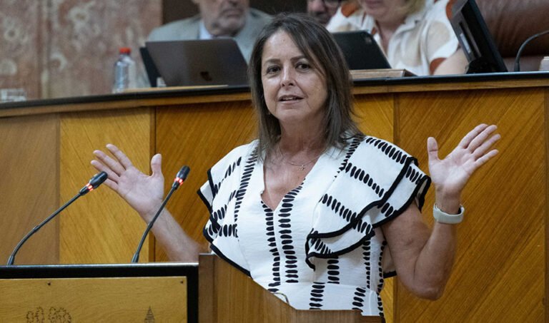 Catalina García comparece en el Pleno del Parlamento andaluz.