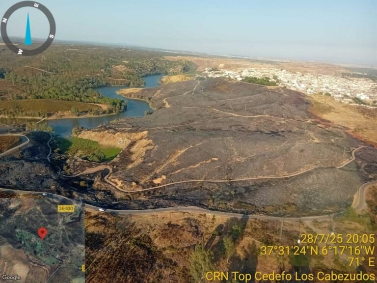 Incendio-en-Aznalcollar-controlado-por-el-plan-Infoca.jpg