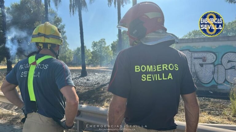 Incendio-en-Parque-Amate-de-Sevilla-moviliza-a-servicios-de.jpg