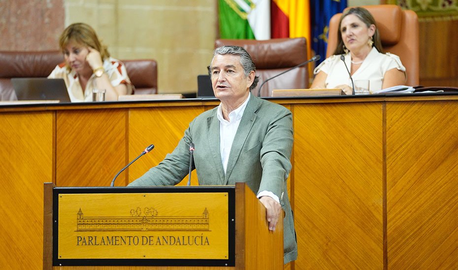 Antonio Sanz comparece en el Pleno del Parlamento de Andalucía.