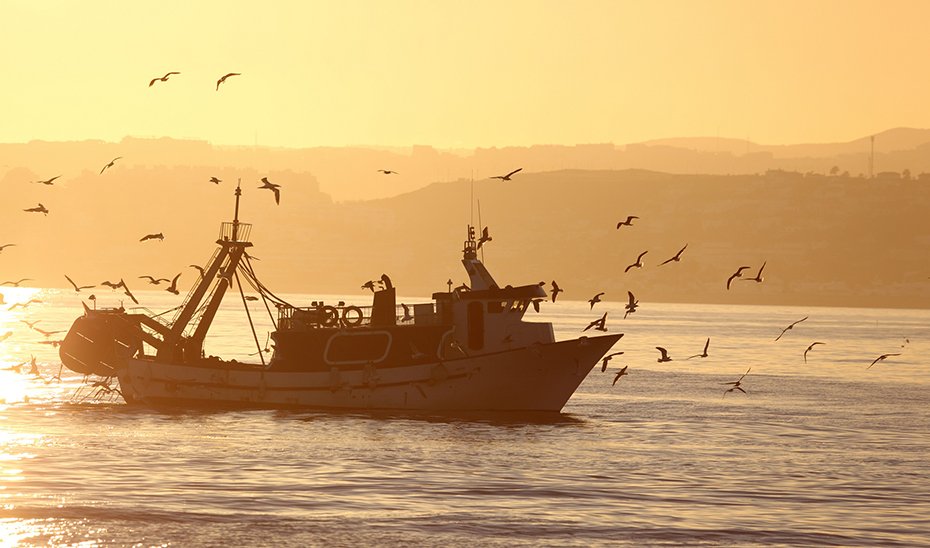 Barco faenando al amanecer.