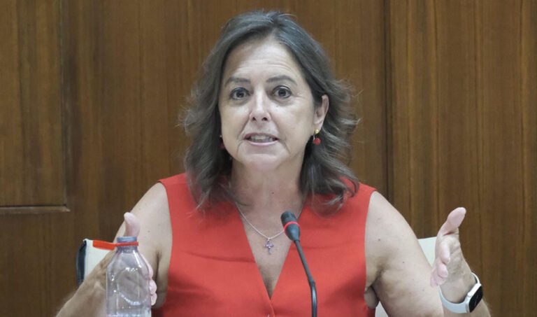 La consejera de Sostenibilidad y Medio Ambiente, Catalina García, durante la comisión parlamentaria.