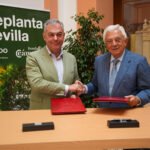 Presentan-Replanta-20-para-plantar-30000-arboles-en-SevillaembedhttpswwwyoutubecomwatchvAaOjnQbzUT0embed.jpeg