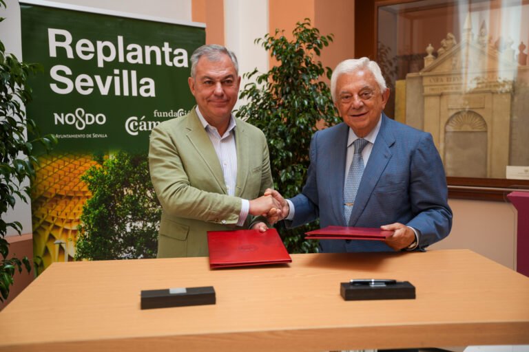 Presentan-Replanta-20-para-plantar-30000-arboles-en-SevillaembedhttpswwwyoutubecomwatchvAaOjnQbzUT0embed.jpeg