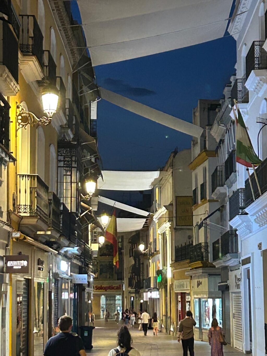 Renovacion-de-luminarias-en-Sevilla-con-tecnologia-LED.jpeg
