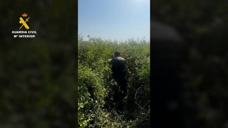 Rescatado-tras-quedar-atrapado-en-un-zarzal-en-Puebla-del.jpg