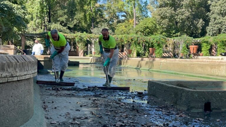 El-Ayuntamiento-de-Sevilla-sigue-con-la-limpieza-de-fuentes.jpeg