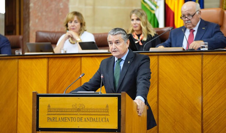 El consejero de la Presidencia, Antonio Sanz, interviene en la sesión plenaria del Parlamento andaluz.