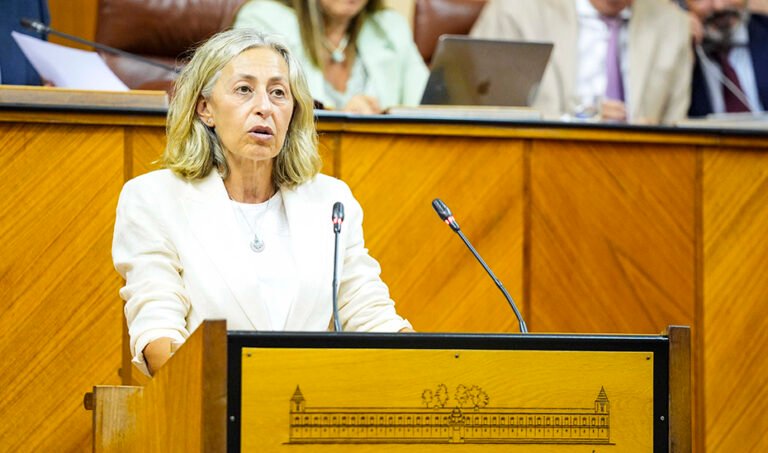La consejera de Salud, Rocío Hernández, durante su intervención en el Pleno del Parlamento.