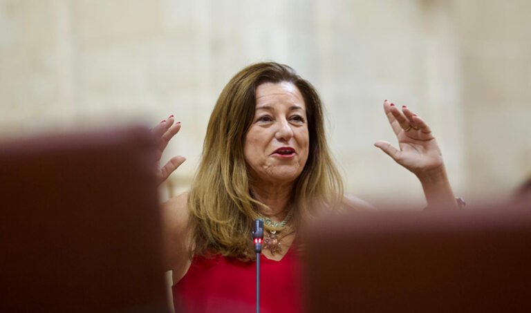 La consejera de Desarrollo Educativo, María del Carmen Castillo, durante la sesión plenaria.