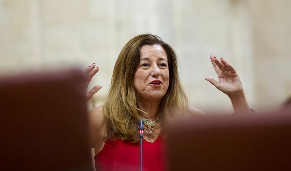 La consejera de Desarrollo Educativo, María del Carmen Castillo, durante la sesión plenaria.