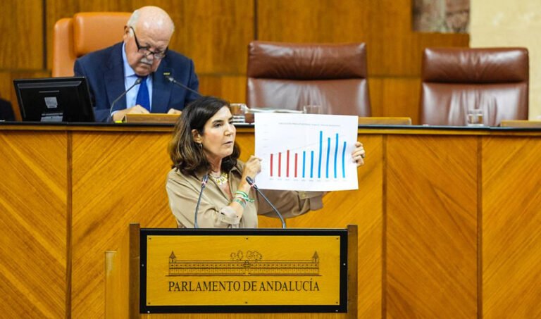 Rocío Blanco interviene en el Pleno del Parlamento andaluz.