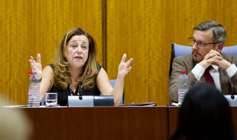 La consejera de Desarrollo Educativo y Formación Profesional, María del Carmen Castillo.