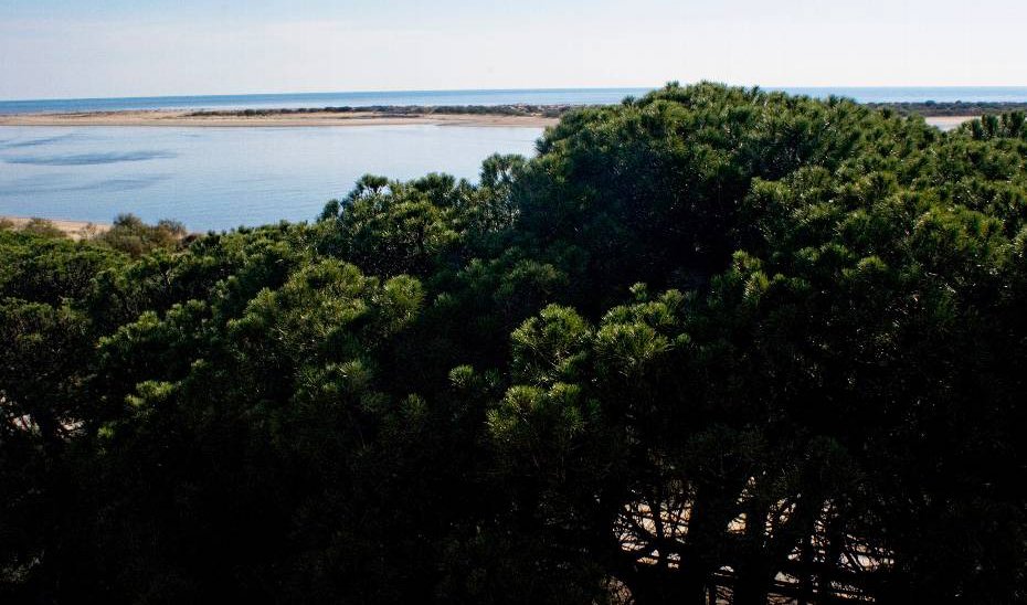 El jurado premió a la Fundación Atlantic Copper por su contribución a la sostenibilidad en la provincia de Huelva.