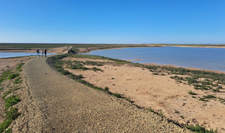 Vista de Lucio Gabela Honda, en Trebujena (Cádiz).